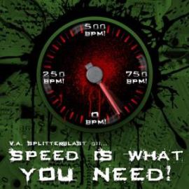 VA - Speed Is What You Need! (2009)