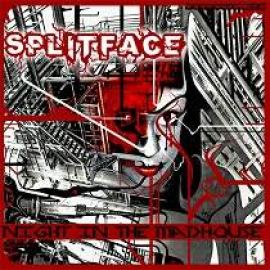 Splitface - Night In The Madhouse (2010)