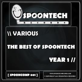 VA - The Best of Spoontech Year 1 (2011)