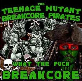 VA - Teenage Mutant Breakcore Pirates (2005)