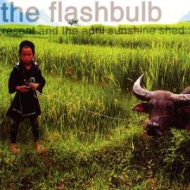The Flashbulb - Resent And The April Sunshine Shed (2003)