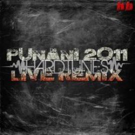 Unknown - Punani (DJ D remix 2011 LIVE edit) (2011)